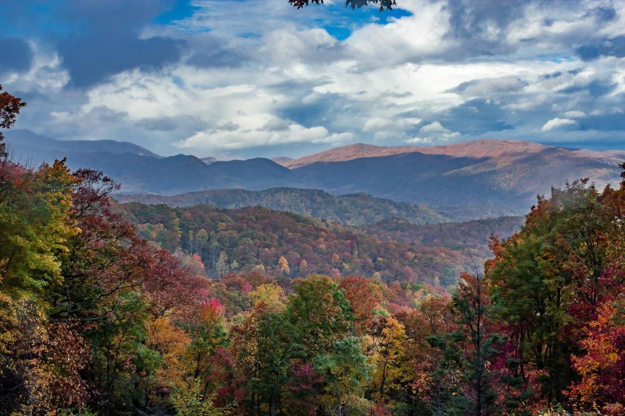 Holiday home Cubby Bear Smoky Mountain - Summer Specials!