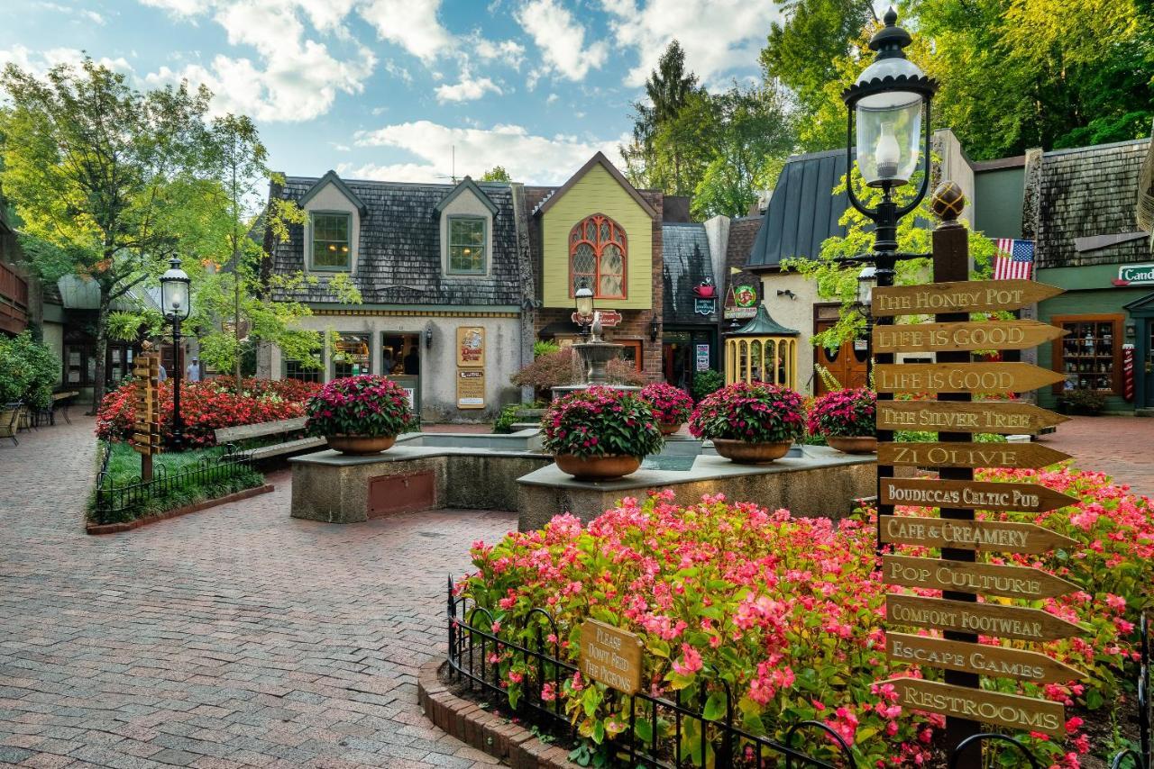 Cubby Bear Smoky Mountain - Summer Specials! Holiday home Sevierville