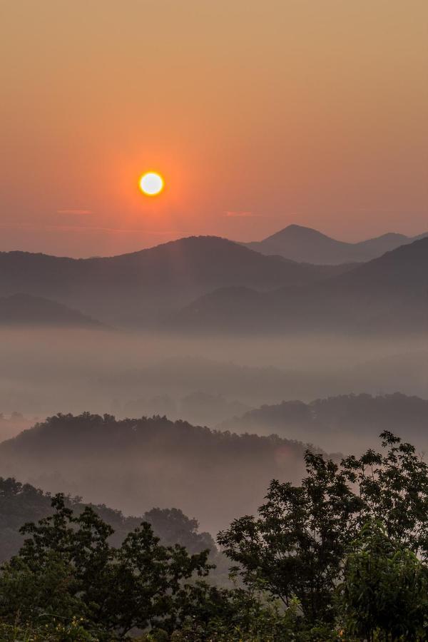 Cubby Bear Smoky Mountain - Summer Specials! Holiday home Sevierville